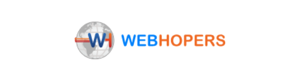 Seo service company in chandigarh 6